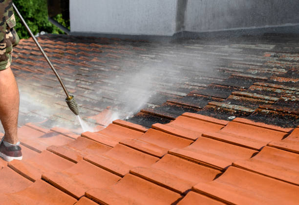 Best Exterior Home Cleaning  in Gregory, TX