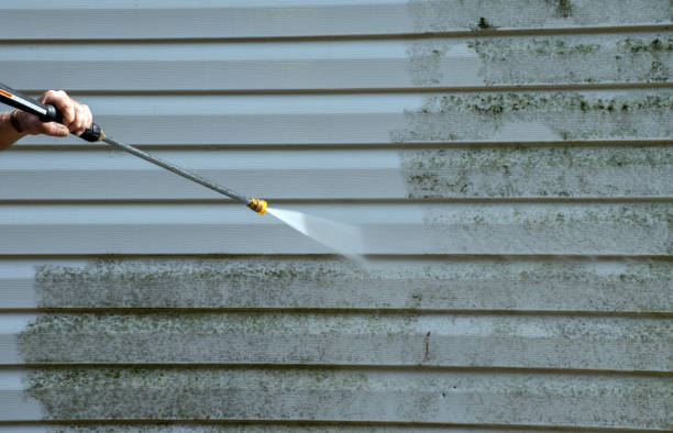 Professional Pressure Washing in Gregory, TX