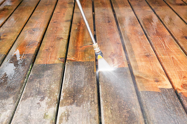 Best Roof Pressure Washing  in Gregory, TX